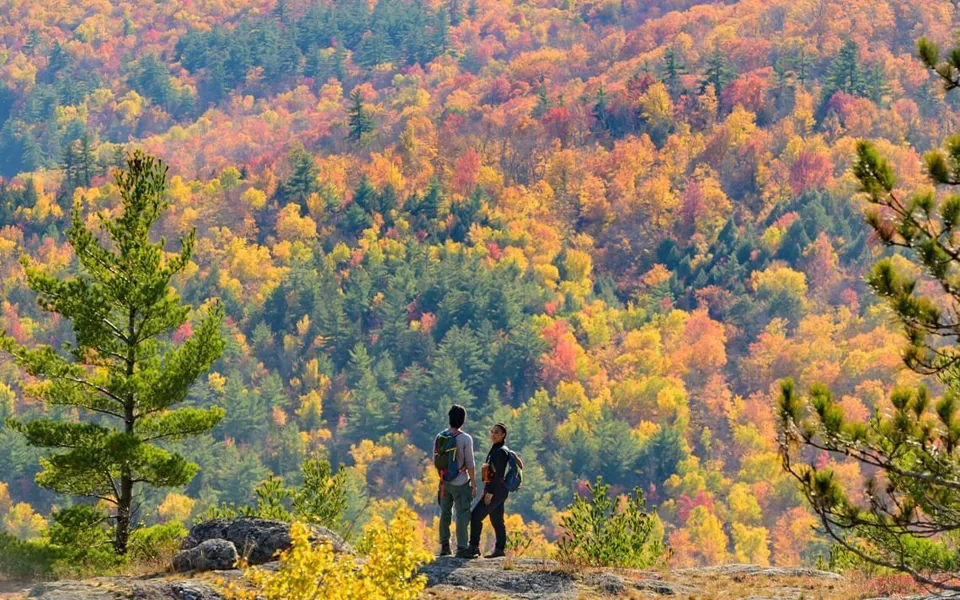 Adk Autumn Bliss
