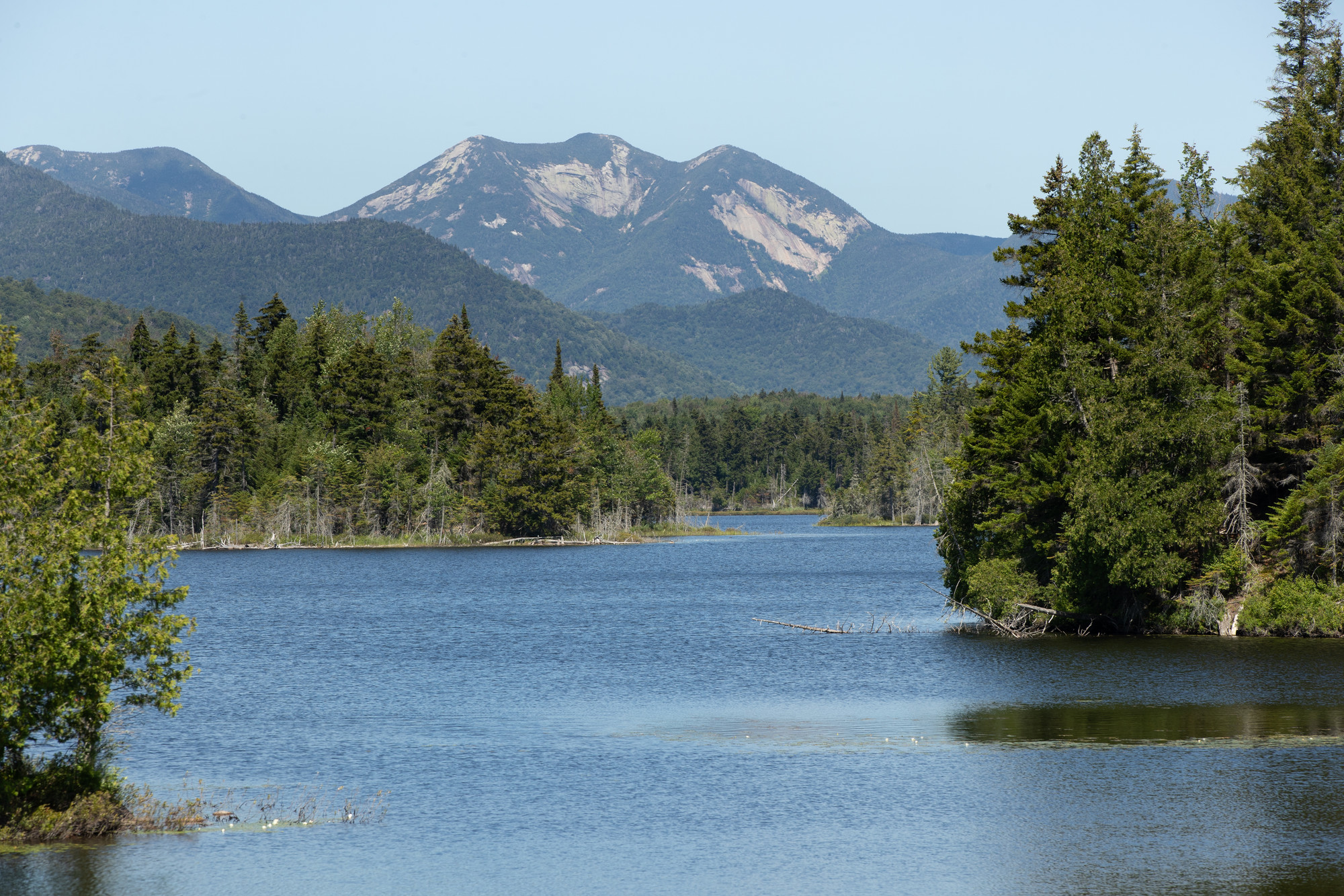 Boreas Pond Lpr