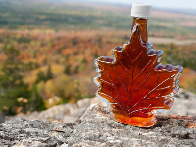 Maple Syrup on Adirondack High Peak