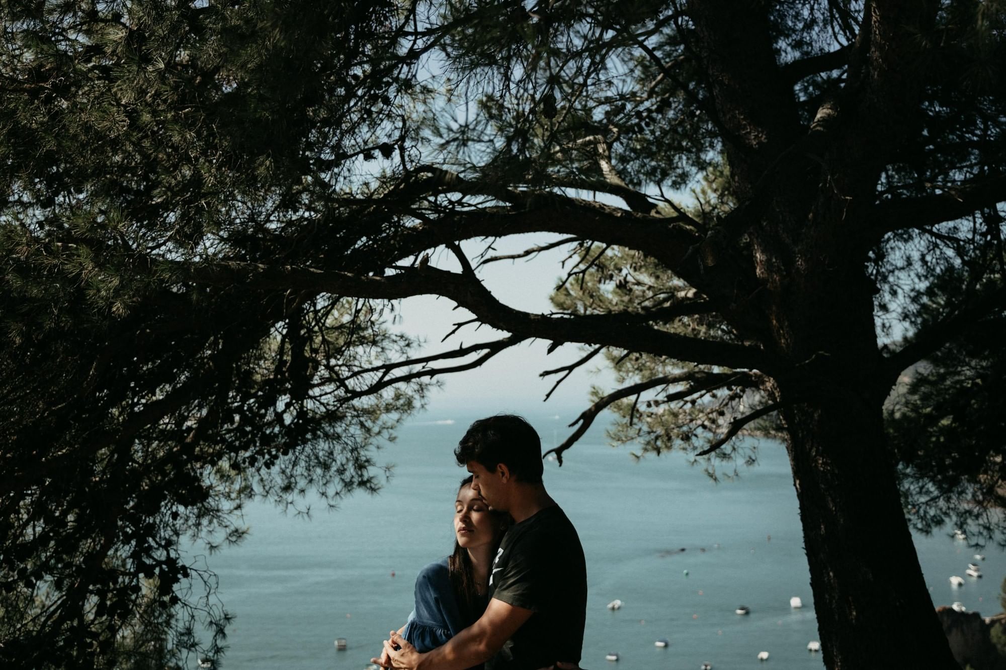 Couple Embraces Under A Large Tree Overlooking A Sea
