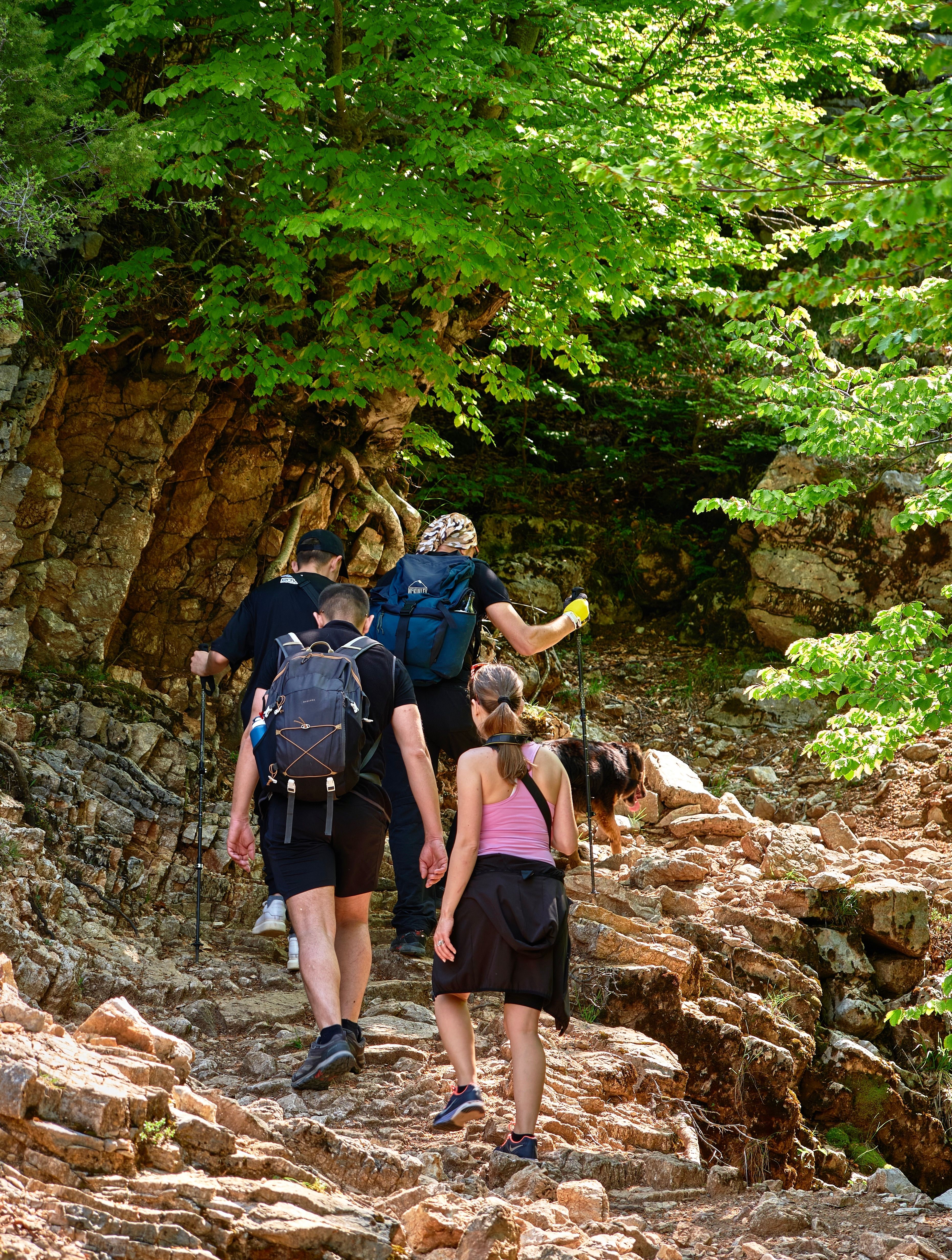 Family Hiking