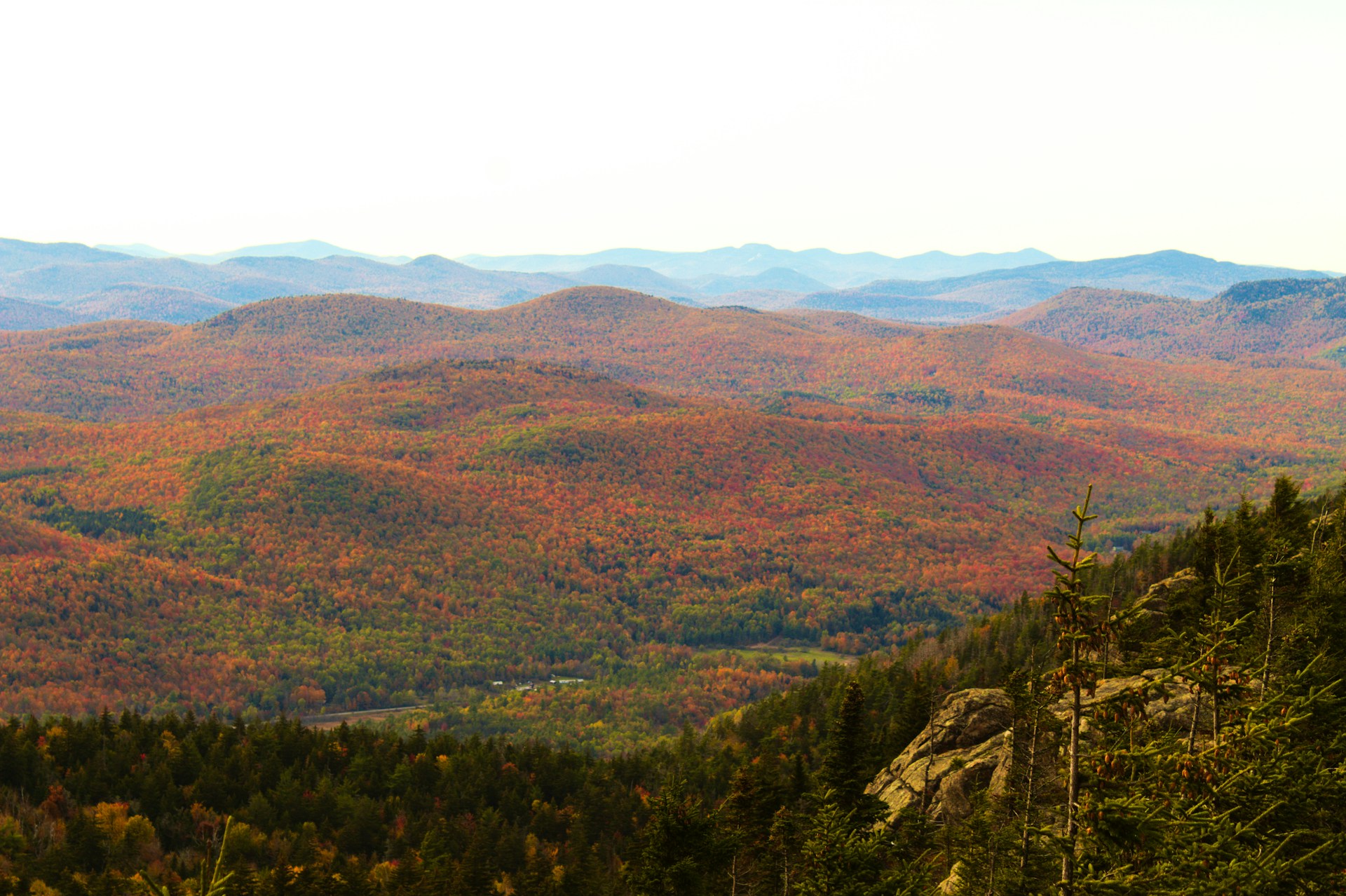 Adirondack Mountains Fall Folaige